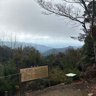 あら、山頂に着いたら曇🥲