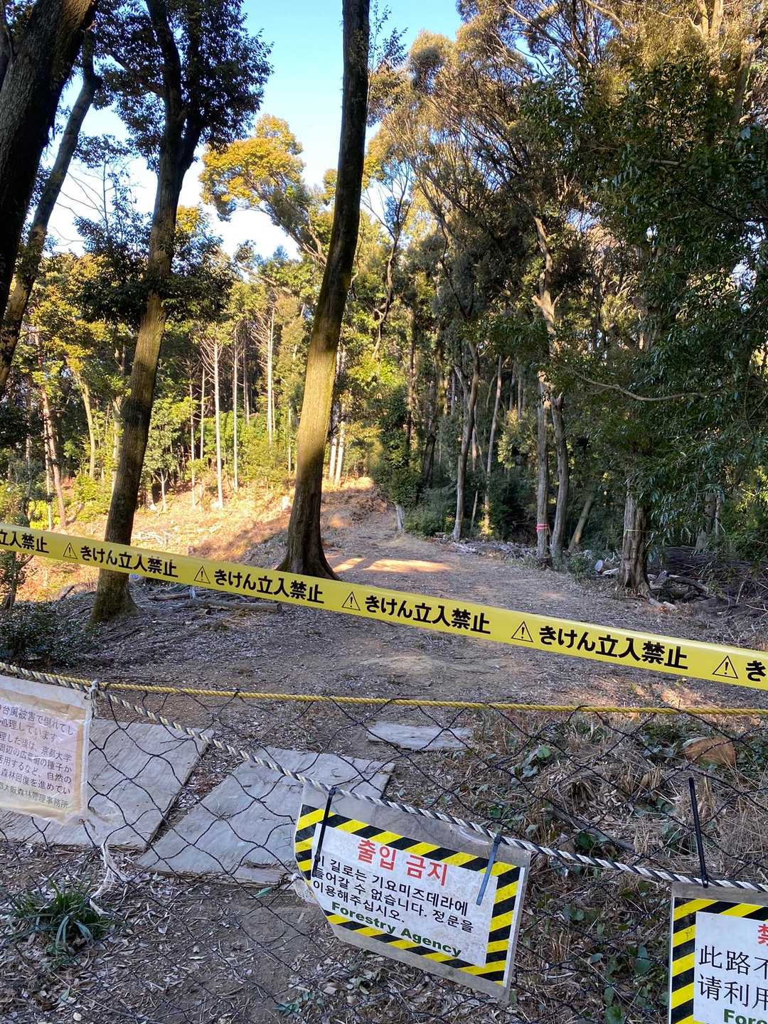 東山に向かう分岐。数年前の台風の倒木でまだ通行できません。子供の頃はこちら側からこの山に来ていました。ここ左に下れば清水寺に行きます。