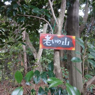 ①老いの山···って､ピーク取ったぜ！って喜びにくい｡　強いて言うなら歳とったぜ！か···