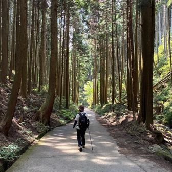 文殊中尾根で無事に下山しました😊