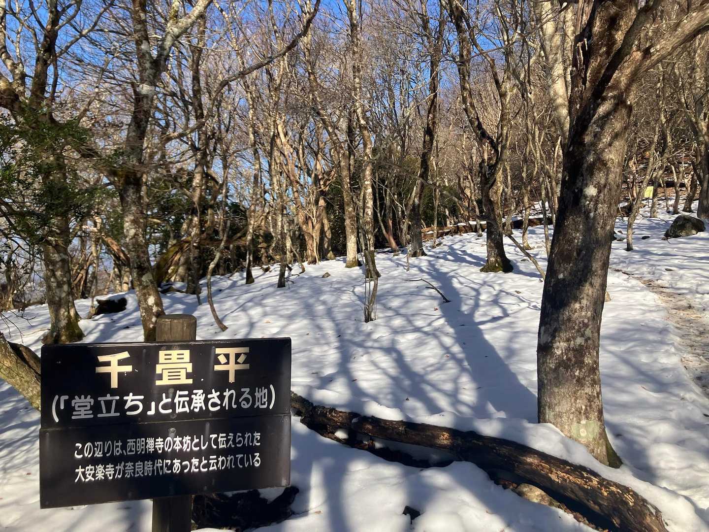 ここだけ結構日陰なのか雪が積もってる☃️