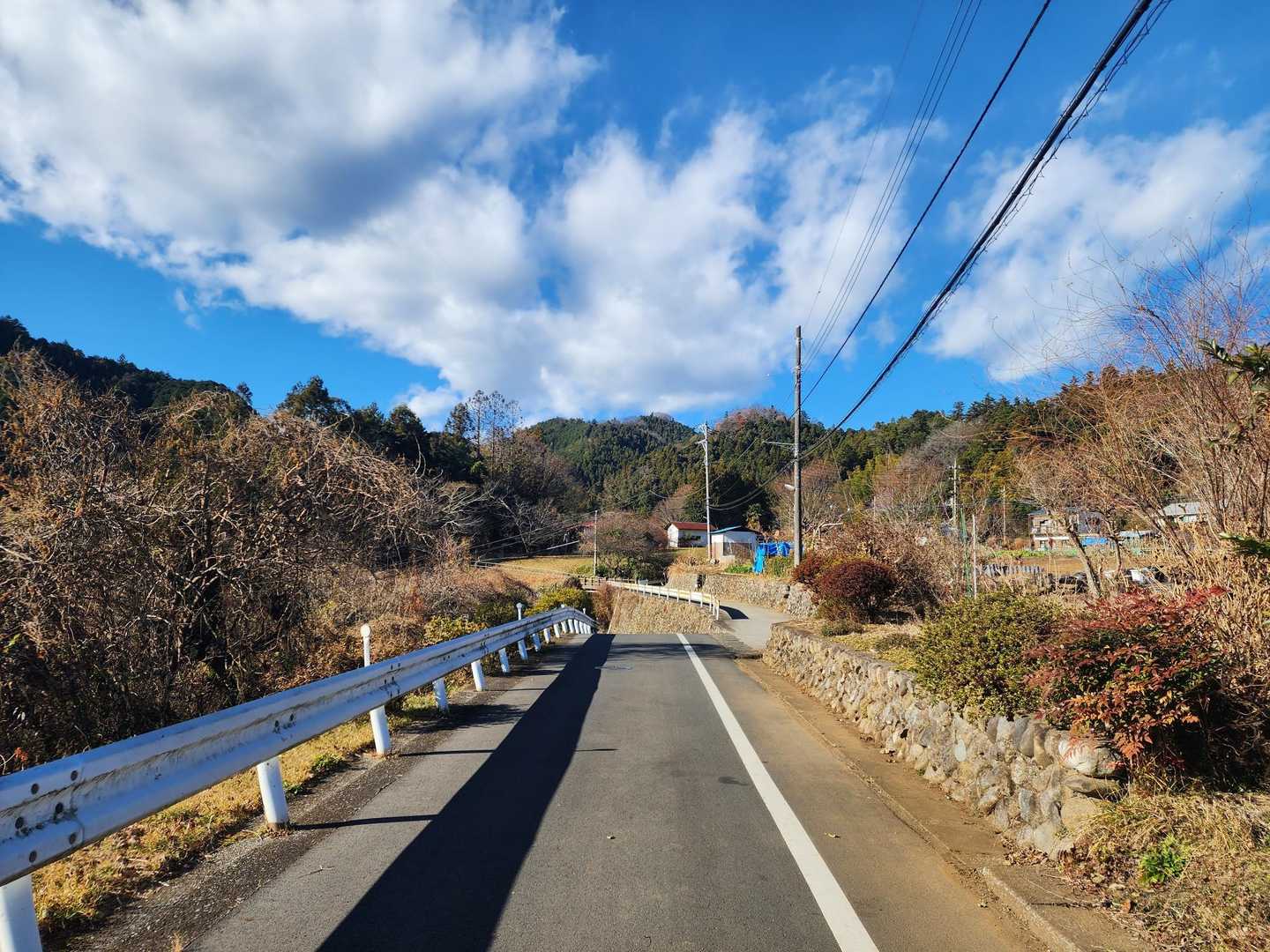 舗装路を歩いて🚶