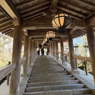 登廊まだ続きます