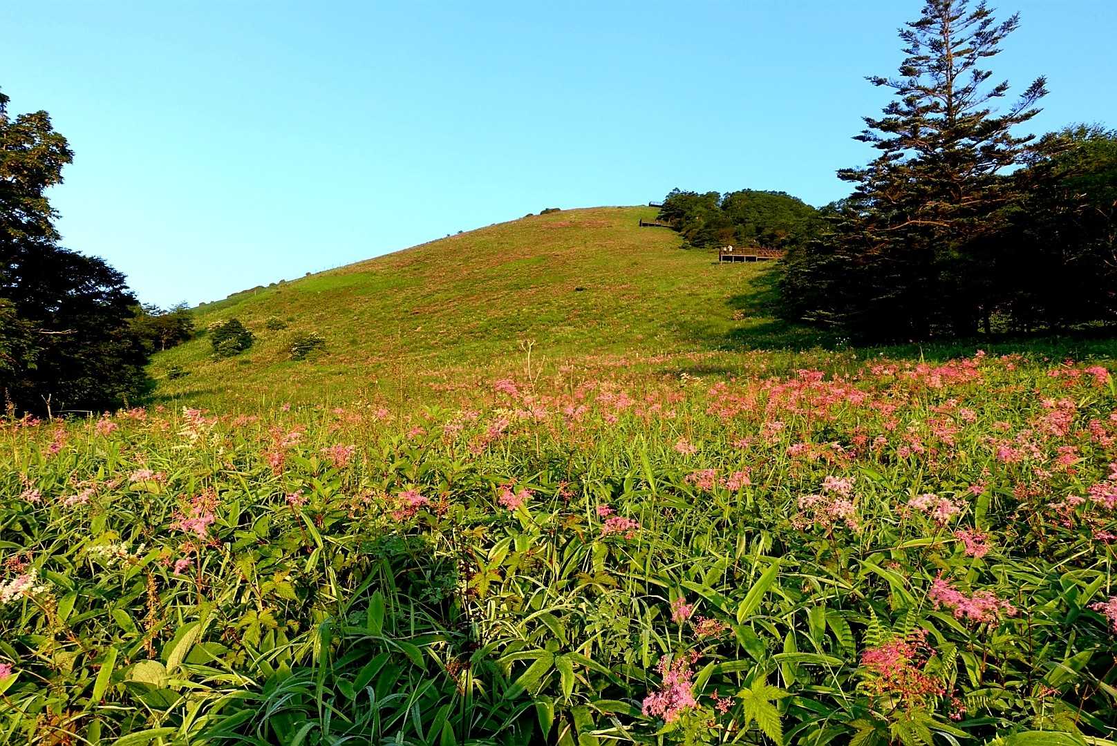 霧降高原レストハウス-小丸山-赤薙山-赤薙奥社跡 往復コースの写真