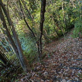 落ち葉🍂だらけ💦