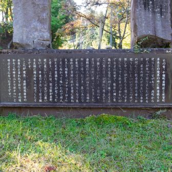 こういう説明を読むのも楽しいです。