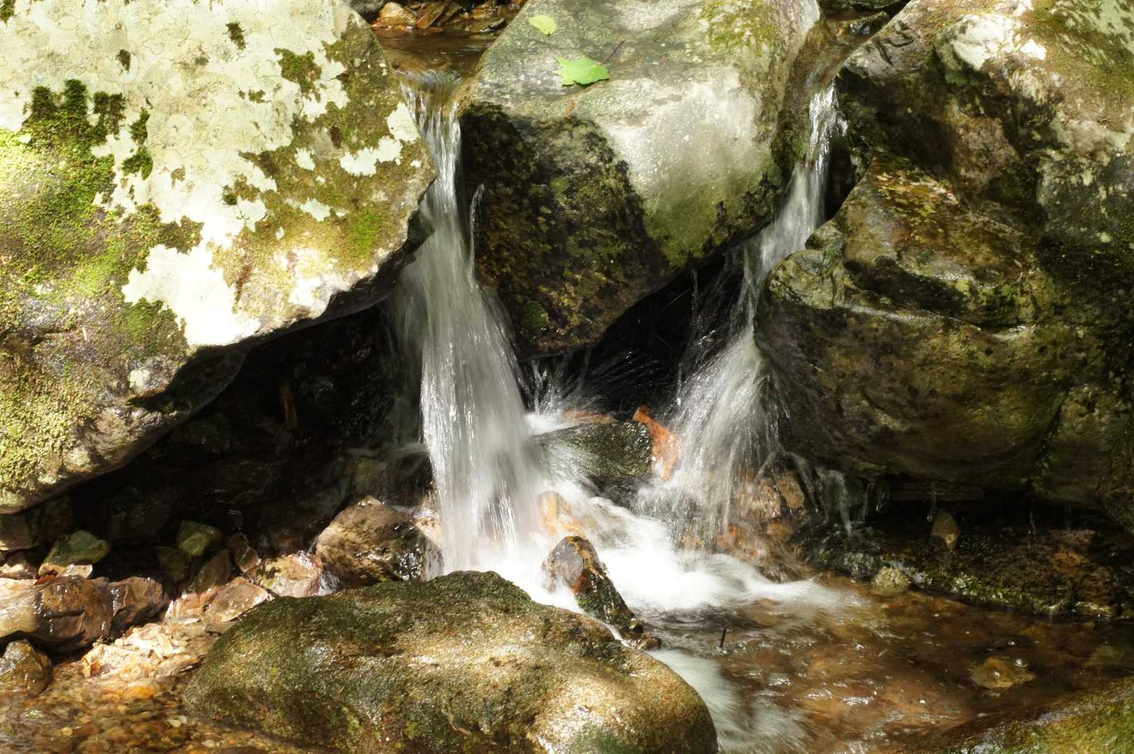水の流れる音、ちっちゃい滝、沢に癒されます〜😆