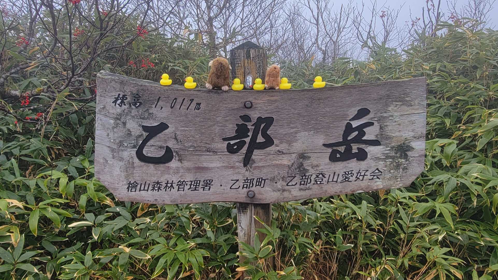 ヒヨコ　ズーシー　ナツ吉親子