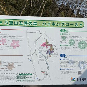 五感で楽しむ山のようです😊