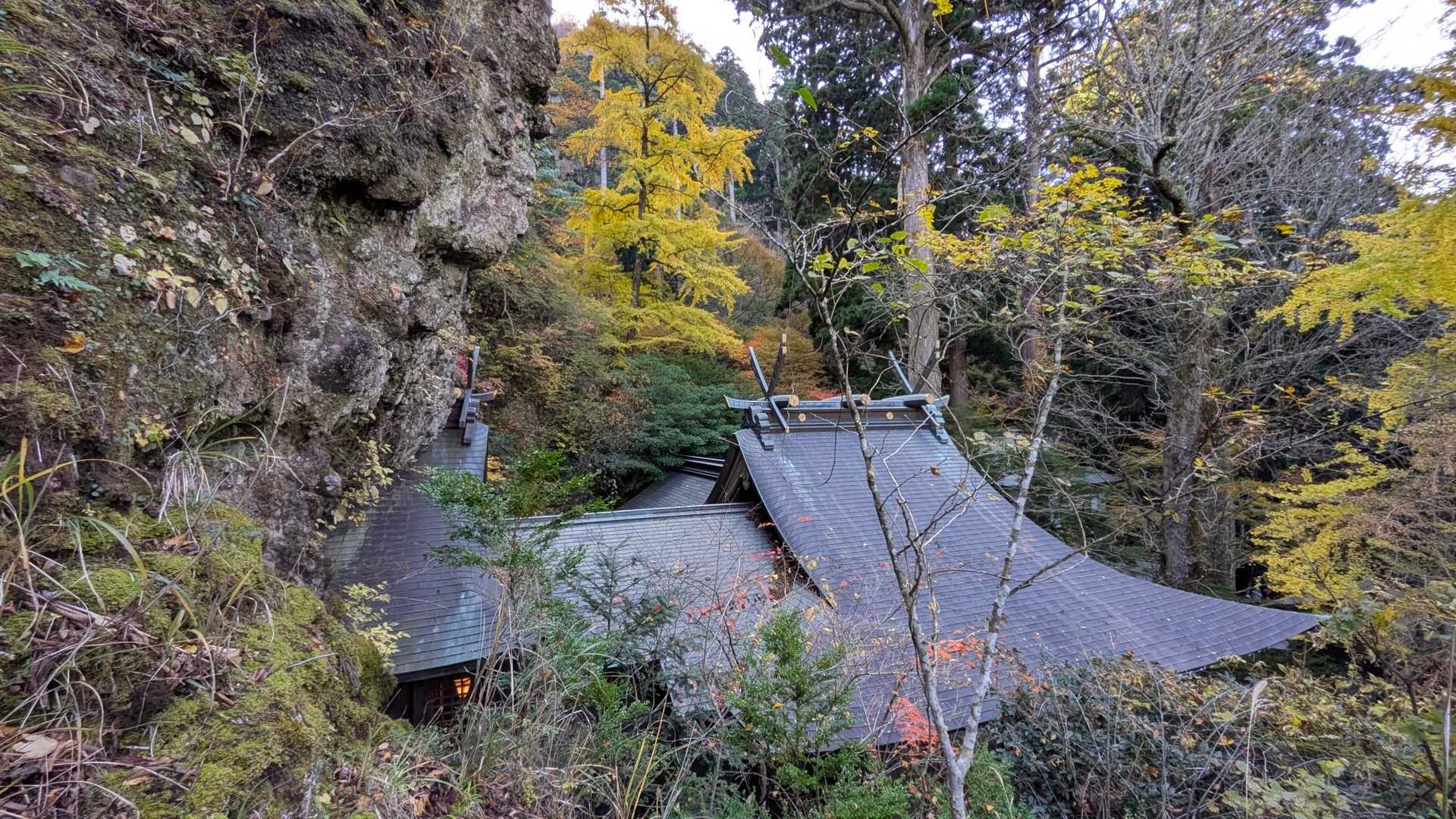 豊前坊登山口-英彦山 往復コースの写真