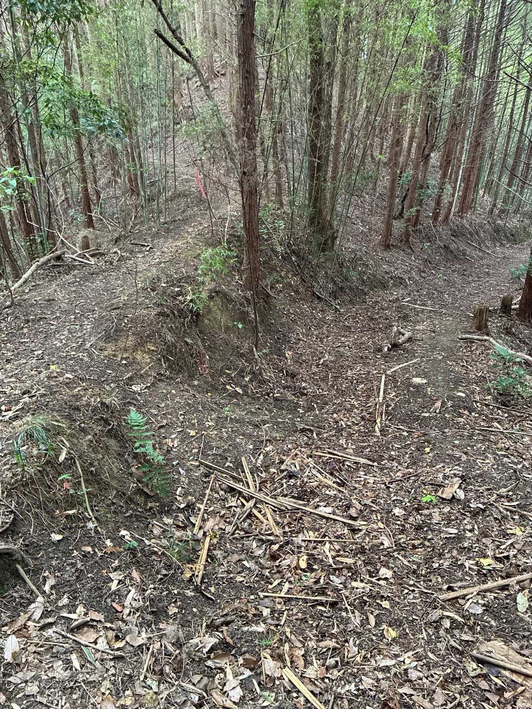 ここ、わかりにくい。
どっちへ下山したか、忘れちゃった😅ごめん😅