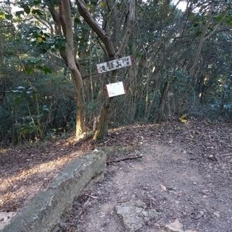 道はしっかり整備されてるのにベンチは少ない。静岡の山とも山梨の山とも雰囲気が違った。