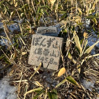 ボンズ山（若草山）145.8m。