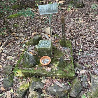 女神が現れますように😊🙏。