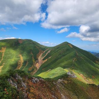 ニセカウ⛰️ありがとう❤