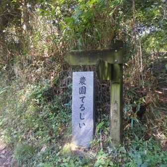 天狗谷に