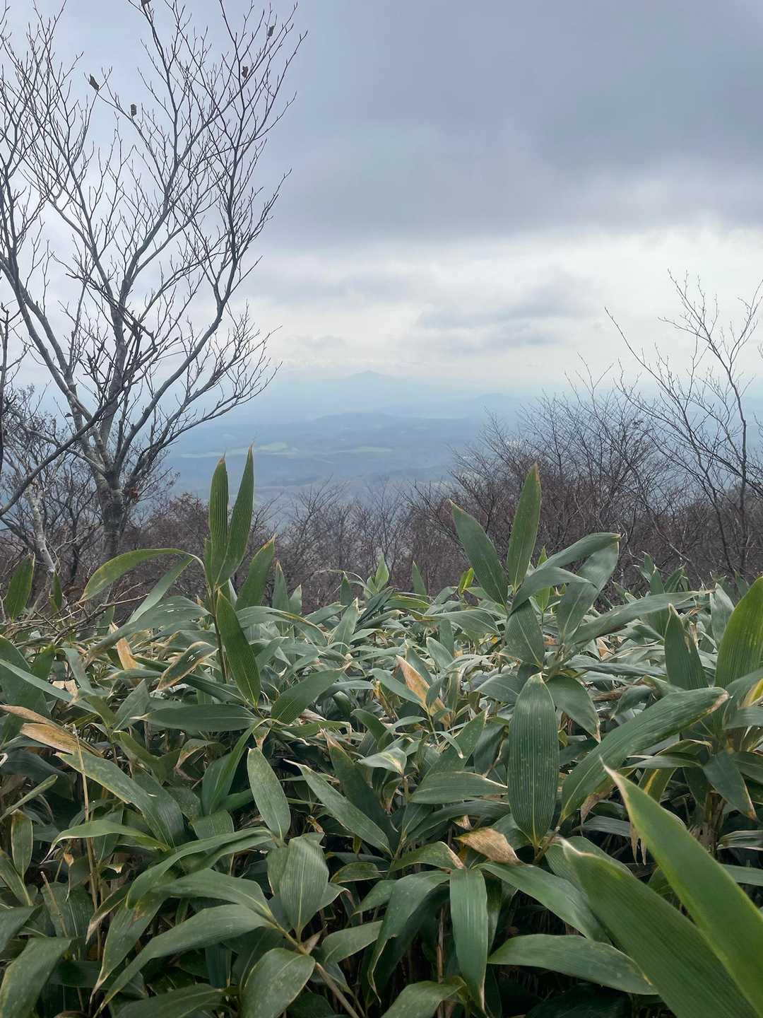 うっすら姫神山が👍写真は無いけれど岩手山も頭だけ見えました（╹◡╹）