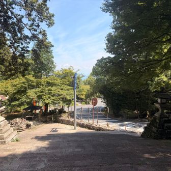 周ってきたよ