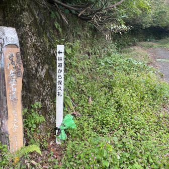 やっと舗装路に出ました〜