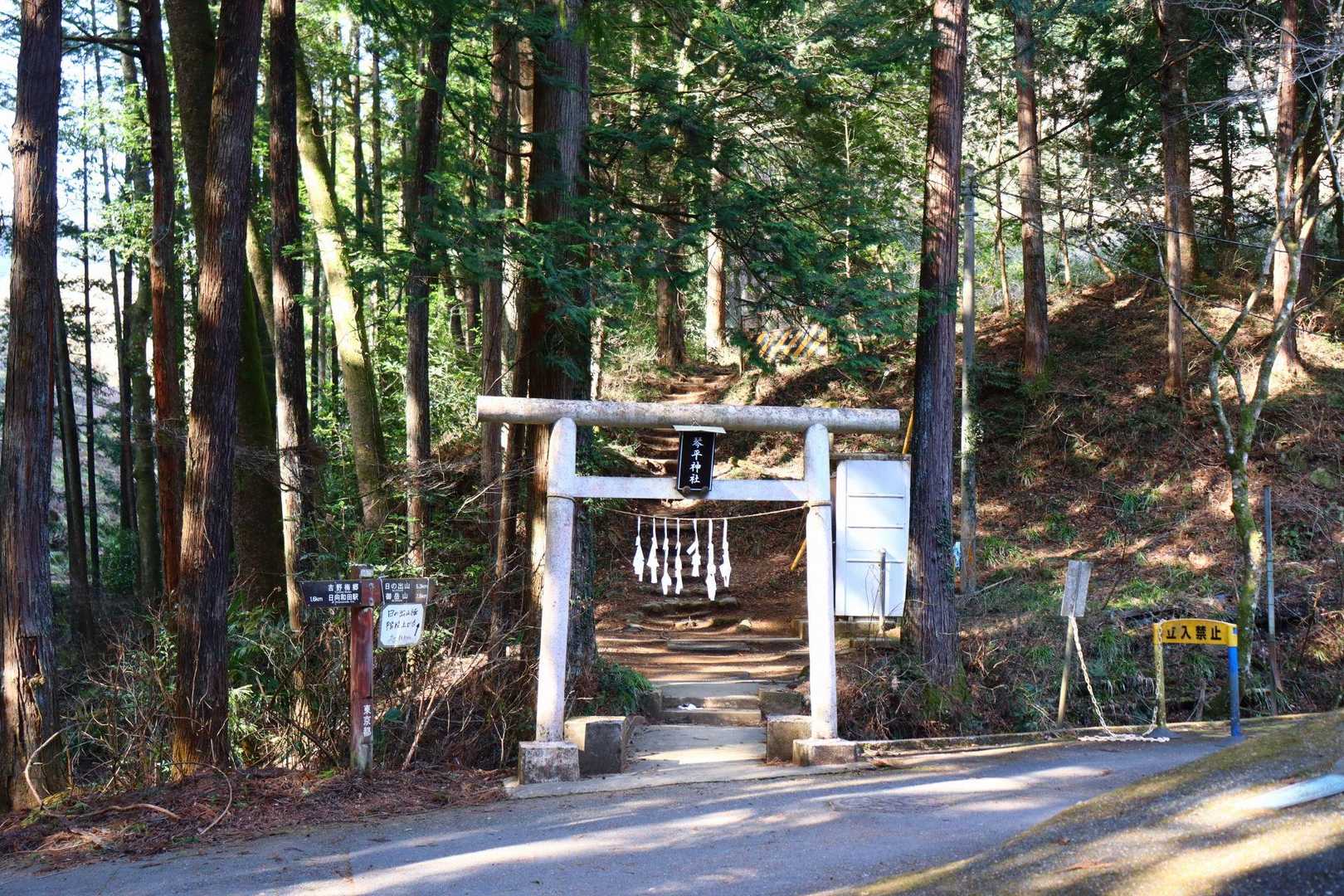 この鳥居をくぐると登山道。