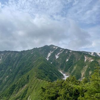 そそくさ下りて振り返り荒沢岳⛰️✨
前グラ手前で倒木跨いでまた左太腿を攣った⚡️
😖