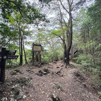 岩茸石に戻ってきました。直進します。
岩の脇は狭くて越えにくいです