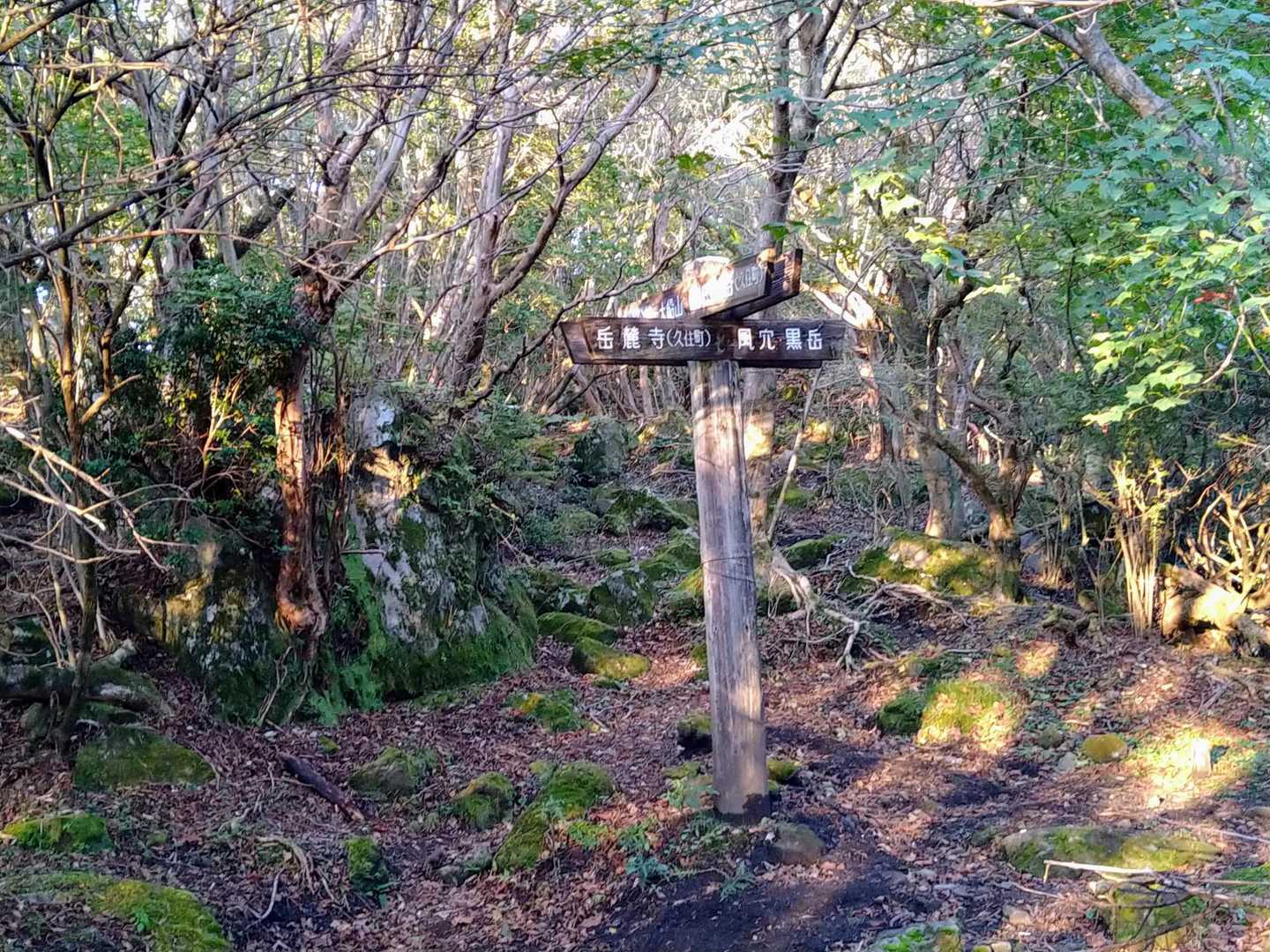 岳麓寺登山口、黒岳、大船山の分岐点です😊