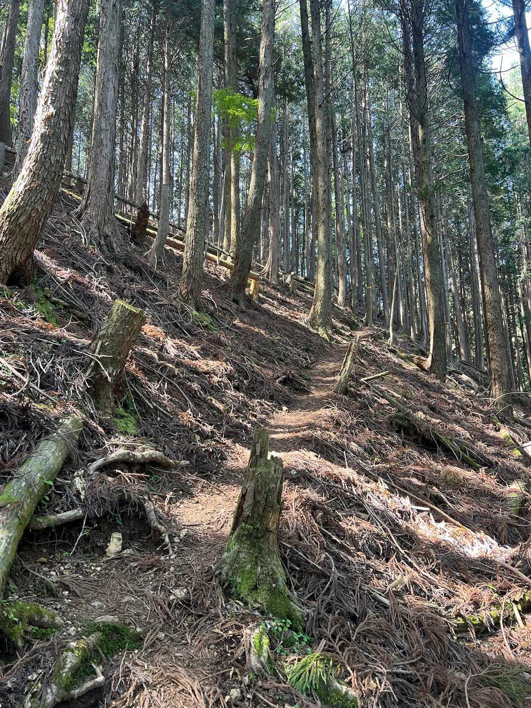 ひたすら登る