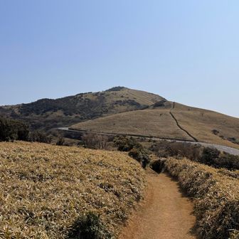 達磨山が見えてきた