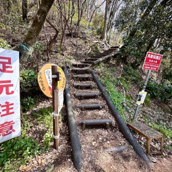 ここから登りはじめる