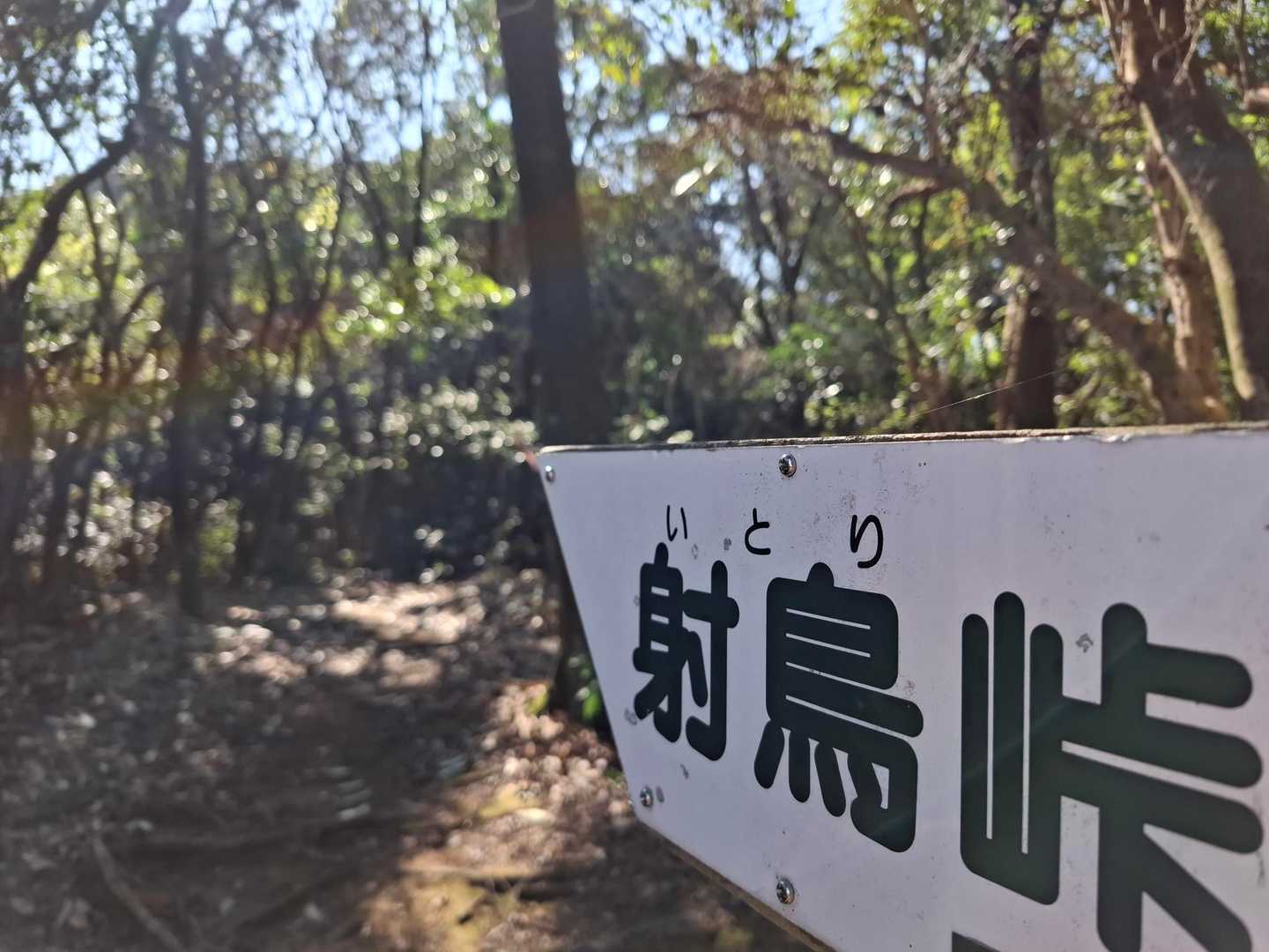 では、進んでいきましょう🙋‍♀️