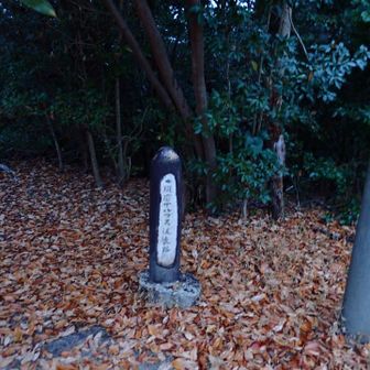 須磨アルプス縦走路？