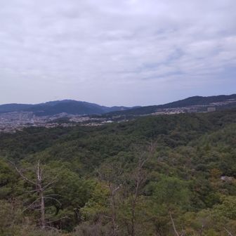 右側の高い部分が今回の最高峰の中山。左は宝塚から見た六甲山ですね。