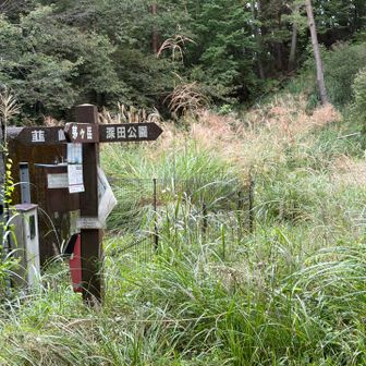 まずは深田公園へ