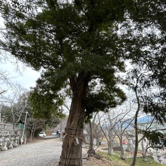 次はみろくアルプスへ！