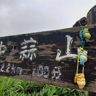 三連カエル