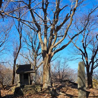望郷山山頂🙌🥉三等三角点　大平山
