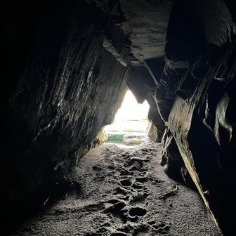 洞窟の中から