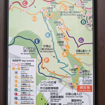 今回は「A：旧登山道コース」→「A-1：つつじ山ルート」→「B：御殿山コース」を往復しました。