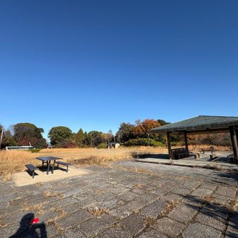 お！開けた〜　　と独り言。

ポカポカ暖かい場所だったので
ここで2度目の朝ごはん食べましたw🍙