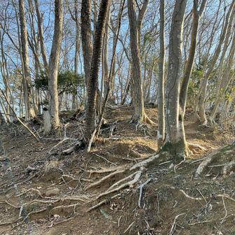 次のお山行くにも急登
膝が・・・
（運動不足です😥）
ゆっくり行きましょー♪💪