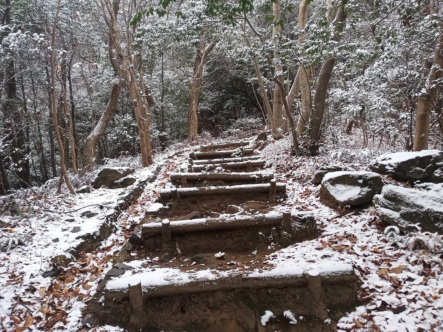 最初はちょっと急登が続くイメージ。