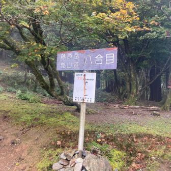 あと少しだけど
山頂まではまだまだ