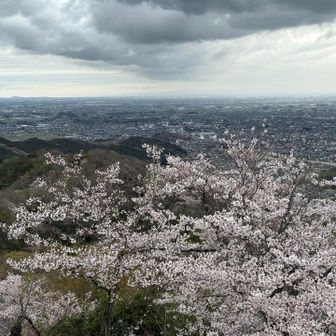 見晴しから栃木市街地。