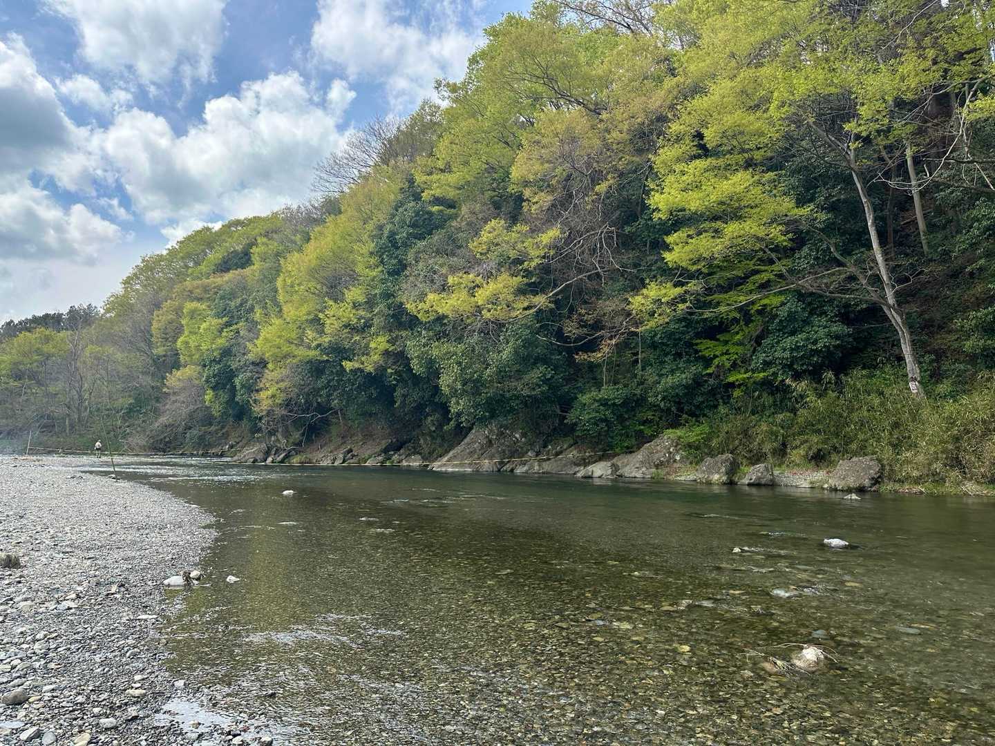 下山後、駅までの道すがら少しだけ、新緑の秋川渓谷沿いへ立ち寄り。秋川橋河川公園ではまだ春休みのためか、BBQ中のグループも
