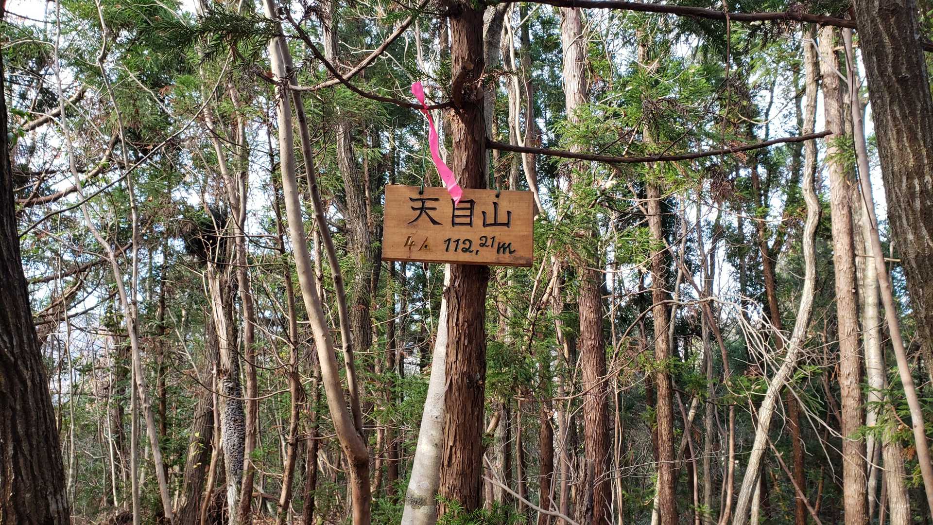 なんだかんだで登頂到着㊗️