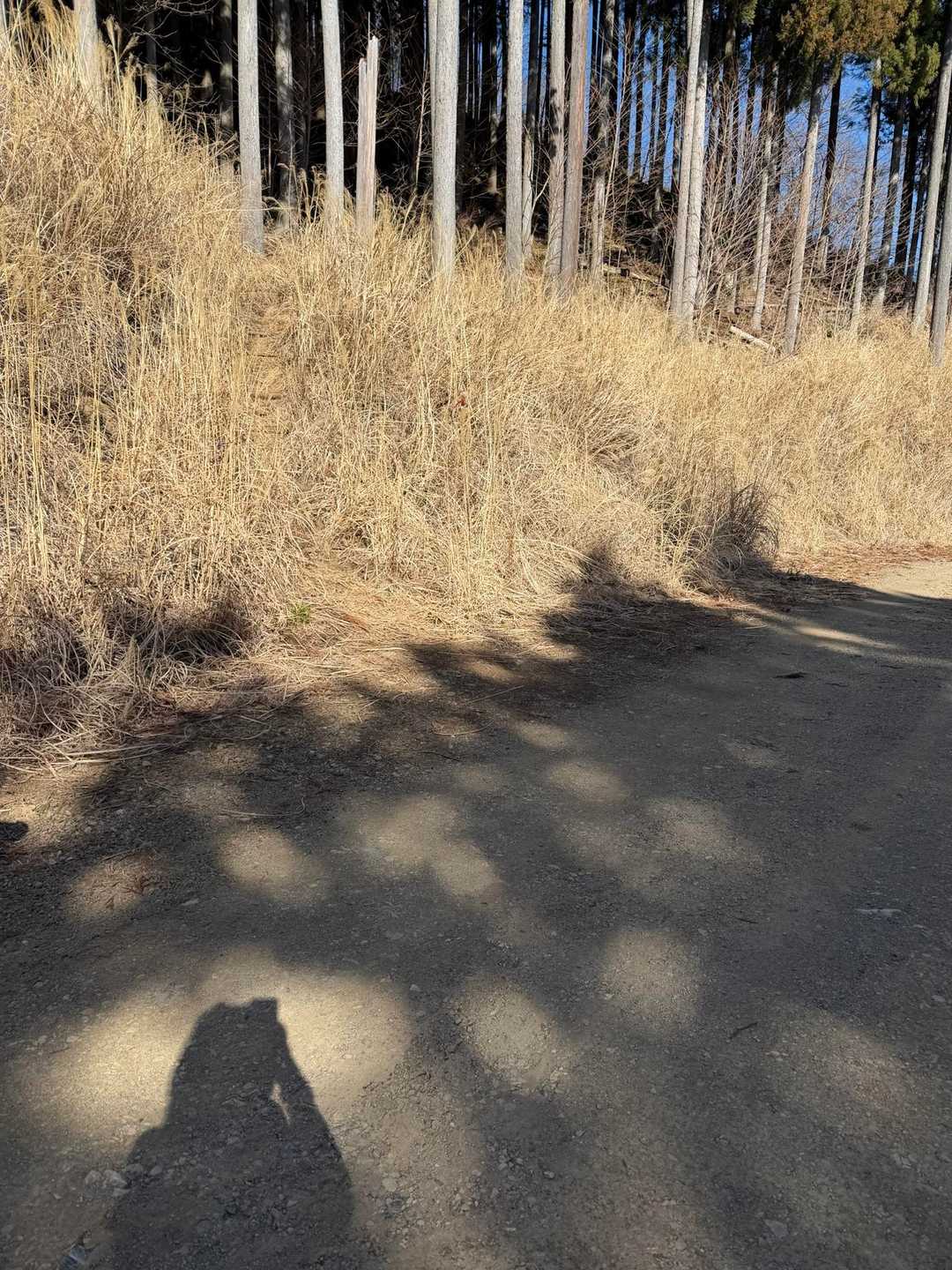 入口分かりづらっ🤢