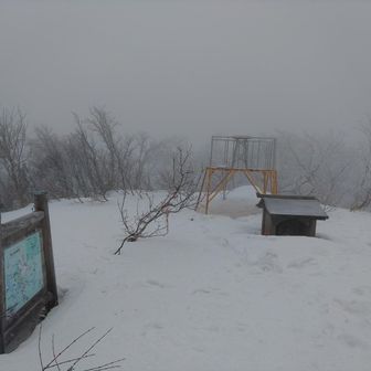 山頂でも50センチほどでしょうか