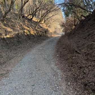 凍結を心配して少し時間を遅らせましたが、もしかしたらその必要なかったのかもしれません。