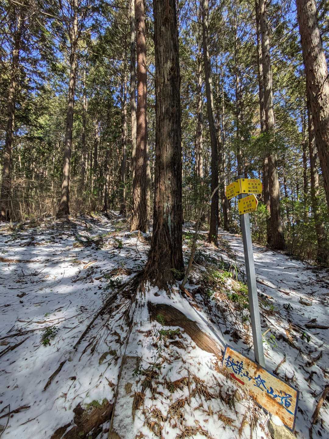 秋葉山登山口-秋葉山 往復コースの写真